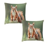 HETVBNS 2 Pack Throw Pillow Covers 18 "x18 Double-Sided Soft Plush Pillowcase Decorative Square Pillows Case Cute Squirrels Pillow Cover for Living Room, Bedroom, Sofa, Car