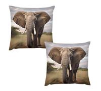 HETVBNS 2 Pack Throw Pillow Covers 20 "x20 Double-Sided Soft Plush Pillowcase Decorative Square Pillows Case Elephant Pillow Cover for Living Room, Bedroom, Sofa, Car