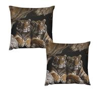 HETVBNS 2 Pack Throw Pillow Covers 20 "x20 Double-Sided Soft Plush Pillowcase Decorative Square Pillows Case Tiger in Cave Pillow Cover for Living Room, Bedroom, Sofa, Car