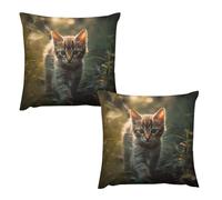 HETVBNS 2 Pack Throw Pillow Covers 22 "x22 Double-Sided Soft Plush Pillowcase Decorative Square Pillows Case Kitten Walking on The Grass Pillow Cover for Living Room, Bedroom, Sofa, Car