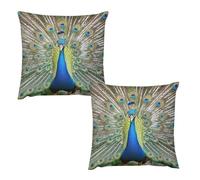 HETVBNS 2 Pack Throw Pillow Covers 22 "x22 Double-Sided Soft Plush Pillowcase Decorative Square Pillows Case Beauty Peacock Pillow Cover for Living Room, Bedroom, Sofa, Car