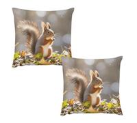 HETVBNS 2 Pack Throw Pillow Covers 22 "x22 Double-Sided Soft Plush Pillowcase Decorative Square Pillows Case Autumn Squirrel Pillow Cover for Living Room, Bedroom, Sofa, Car