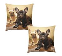HETVBNS 2 Pack Throw Pillow Covers 22 "x22 Double-Sided Soft Plush Pillowcase Decorative Square Pillows Case Cute French Bulldog Graphics Pillow Cover for Living Room, Bedroom, Sofa, Car