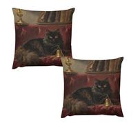 HETVBNS 2 Pack Throw Pillow Covers 22 "x22 Double-Sided Soft Plush Pillowcase Decorative Square Pillows Case Black Fluffy Cat Pillow Cover for Living Room, Bedroom, Sofa, Car