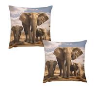 HETVBNS 2 Pack Throw Pillow Covers 24 "x24 Double-Sided Soft Plush Pillowcase Decorative Square Pillows Case Elephant Family Pillow Cover for Living Room, Bedroom, Sofa, Car