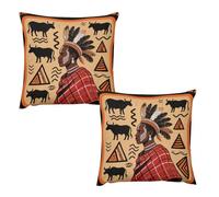 HETVBNS 2 Pack Throw Pillow Covers 24 "x24 Double-Sided Soft Plush Pillowcase Decorative Square Pillows Case African Art Pillow Cover for Living Room, Bedroom, Sofa, Car
