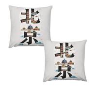 HETVBNS 2 Pack Throw Pillow Covers 24 "x24 Double-Sided Soft Plush Pillowcase Decorative Square Pillows Case Beijing China Pillow Cover for Living Room, Bedroom, Sofa, Car