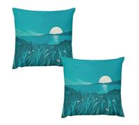 HETVBNS 2 Pack Throw Pillow Covers 24 "x24 Double-Sided Soft Plush Pillowcase Decorative Square Pillows Case Teal Blue Pillow Cover for Living Room, Bedroom, Sofa, Car