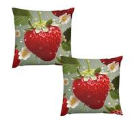HETVBNS 2 Pack Throw Pillow Covers 24 "x24 Double-Sided Soft Plush Pillowcase Decorative Square Pillows Case Lovely Strawberry Pillow Cover for Living Room, Bedroom, Sofa, Car