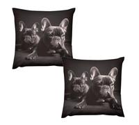 HETVBNS 2 Pack Throw Pillow Covers 24 "x24 Double-Sided Soft Plush Pillowcase Decorative Square Pillows Case French Bulldog Pillow Cover for Living Room, Bedroom, Sofa, Car