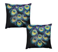 HETVBNS 2 Pack Throw Pillow Covers 24 "x24 Double-Sided Soft Plush Pillowcase Decorative Square Pillows Case A Bunch of Peacock Feathers Pillow Cover for Living Room, Bedroom, Sofa, Car