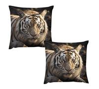 HETVBNS 2 Pack Throw Pillow Covers 24 "x24 Double-Sided Soft Plush Pillowcase Decorative Square Pillows Case Animal Tiger Pillow Cover for Living Room, Bedroom, Sofa, Car