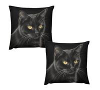 HETVBNS 2 Pack Throw Pillow Covers 24 "x24 Double-Sided Soft Plush Pillowcase Decorative Square Pillows Case Black Cat Pillow Cover for Living Room, Bedroom, Sofa, Car