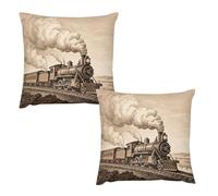 HETVBNS 2 Pack Throw Pillow Covers 24 "x24 Double-Sided Soft Plush Pillowcase Decorative Square Pillows Case Etching Train Pillow Cover for Living Room, Bedroom, Sofa, Car