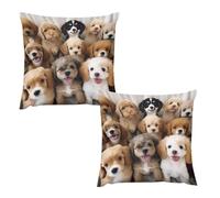HETVBNS 2 Pack Throw Pillow Covers 24 "x24 Double-Sided Soft Plush Pillowcase Decorative Square Pillows Case Cute Dogs Pillow Cover for Living Room, Bedroom, Sofa, Car