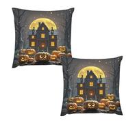 HETVBNS 2 Pack Throw Pillow Covers 26 "x26 Double-Sided Soft Plush Pillowcase Decorative Square Pillows Case Halloween Night Pillow Cover for Living Room, Bedroom, Sofa, Car