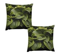 HETVBNS 2 Pack Throw Pillow Covers 26 "x26 Double-Sided Soft Plush Pillowcase Decorative Square Pillows Case Moist Hosta Leaves Pillow Cover for Living Room, Bedroom, Sofa, Car
