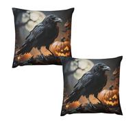 HETVBNS 2 Pack Throw Pillow Covers 26 "x26 Double-Sided Soft Plush Pillowcase Decorative Square Pillows Case Frightening Halloween Crow Pillow Cover for Living Room, Bedroom, Sofa, Car