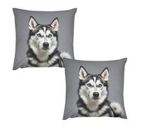 HETVBNS 2 Pack Throw Pillow Covers 26 "x26 Double-Sided Soft Plush Pillowcase Decorative Square Pillows Case Husky Dog Pillow Cover for Living Room, Bedroom, Sofa, Car