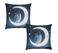 HETVBNS 2 Pack Throw Pillow Covers 26 "x26 Double-Sided Soft Plush Pillowcase Decorative Square Pillows Case Magic - Hat Owl Pillow Cover for Living Room, Bedroom, Sofa, Car