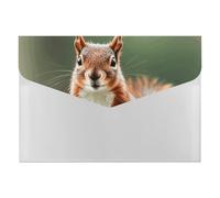 HETVBNS 6 Pockets Expanding File Folder Durable Waterproof A4 Letter Size Folders, Cute Squirrels Accordion File Organizer for Office, Home & Travel