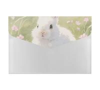 HETVBNS 6 Pockets Expanding File Folder Durable Waterproof A4 Letter Size Folders, Easter Rabbit Accordion File Organizer for Office, Home & Travel