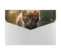 HETVBNS 6 Pockets Expanding File Folder Durable Waterproof A4 Letter Size Folders, Kitten Walking on The Grass Accordion File Organizer for Office, Home & Travel