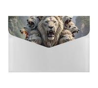 HETVBNS 6 Pockets Expanding File Folder Durable Waterproof A4 Letter Size Folders, Nine Lions Accordion File Organizer for Office, Home & Travel