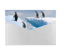 HETVBNS 6 Pockets Expanding File Folder Durable Waterproof A4 Letter Size Folders, Penguins On The Iceberg Accordion File Organizer for Office, Home & Travel