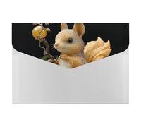 HETVBNS 6 Pockets Expanding File Folder Durable Waterproof A4 Letter Size Folders, Resin Squirrel Accordion File Organizer for Office, Home & Travel