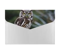 HETVBNS 6 Pockets Expanding File Folder Durable Waterproof A4 Letter Size Folders, Wild Owl Birds Accordion File Organizer for Office, Home & Travel