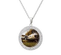 HETVBNS - Abandoned Airplane Necklace, Alloy Round Pendant with Diamond, Elegant Pendant Necklace for Women Men, Una talla, Metal, Alloy.