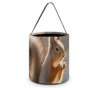 HETVBNS Autumn Squirrel Candy Bag Halloween Trick Or Treat Bucket 7.9x8.3in, Reusable Gift Bags for Party Holiday Wedding