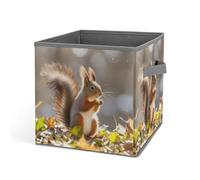 HETVBNS Autumn Squirrel Storage Bins 10.6 Inch, Oxford Fabric Foldable Storage Cube Organizer Basket with Handles, Fabric Bins for Closet Shelves, Toys, Clothes, Books, Bedroom