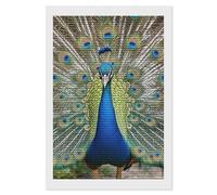 HETVBNS Beauty Peacock Diamond Painting Kits for Adults, Full Round Drill DIY Diamond Art for Beginners, 5D Gem Art and Crafts for Home Wall Decor 8"x12"