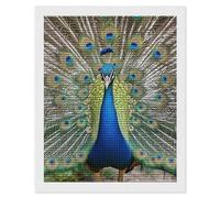 HETVBNS Beauty Peacock Diamond Painting Kits for Adults, Full Round Drill DIY Diamond Art for Beginners, 5D Gem Art and Crafts for Home Wall Decor 16"x20"