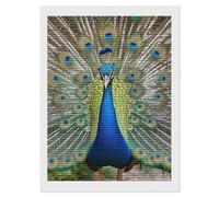 HETVBNS Beauty Peacock Diamond Painting Kits for Adults, Full Round Drill DIY Diamond Art for Beginners, 5D Gem Art and Crafts for Home Wall Decor 12"x16"