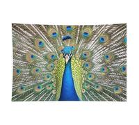 HETVBNS Beauty Peacock Tapestry Wall Hanging - 40"x60" Aesthetic Tapestries Soft Polyester Wall Art Decor Large Tapestry for Bedroom Living Room Dorm Backdrop, Hanging Kit Included