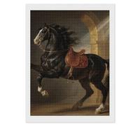 HETVBNS Black Horse Diamond Painting Kits for Adults, Full Round Drill DIY Diamond Art for Beginners, 5D Gem Art and Crafts for Home Wall Decor 12"x16"