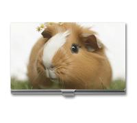 HETVBNS Business Card Holder Metal Business Cards Case Guinea Pig Professional Card Organizer Credit Carrier Slim Name Cards Holder ID Case for Men Or Women, Guinea Pig, 3.7 × 2.2 × 0.3 Inches, Casual