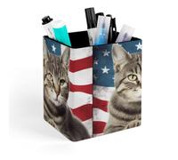 HETVBNS Cat Usa Flag Pen Holder for Desk - PU Leather Square Desk Organizer Travel Makeup Brush Storage Stylish Pencil Holder Desktop Stationery Organizer for Office & Home