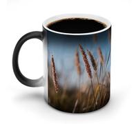 HETVBNS Coffee Mug Color Changing Mug Autumn Grass Heat Sensitive Mug Novelty Coffee Mugs Funny Coffee Cups Travel Mug Ceramic Mug Sublimation Mugs