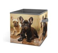 HETVBNS Cute French Bulldog Graphics Storage Bins 10.6 Inch, Oxford Fabric Foldable Storage Cube Organizer Basket with Handles, Fabric Bins for Closet Shelves, Toys, Clothes, Books, Bedroom