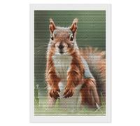 HETVBNS Cute Squirrels Diamond Painting Kits for Adults, Full Round Drill DIY Diamond Art for Beginners, 5D Gem Art and Crafts for Home Wall Decor 8"x12"