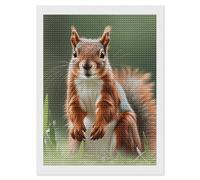 HETVBNS Cute Squirrels Diamond Painting Kits for Adults, Full Round Drill DIY Diamond Art for Beginners, 5D Gem Art and Crafts for Home Wall Decor 12"x16"