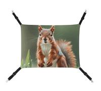 HETVBNS Cute Squirrels Pet Hammock for Cats & Dogs, Soft Breathable Canvas Hanging Hammock with Adjustable Straps, Comfortable & Durable Hanging Bed for Small to Medium Pets