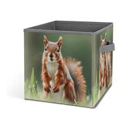 HETVBNS Cute Squirrels Storage Bins 10.6 Inch, Oxford Fabric Foldable Storage Cube Organizer Basket with Handles, Fabric Bins for Closet Shelves, Toys, Clothes, Books, Bedroom
