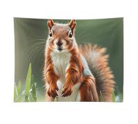 HETVBNS Cute Squirrels Tapestry Wall Hanging - 30"x40" Aesthetic Tapestries Soft Polyester Wall Art Decor Large Tapestry for Bedroom Living Room Dorm Backdrop, Hanging Kit Included