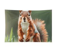 HETVBNS Cute Squirrels Tapestry Wall Hanging - 40"x60" Aesthetic Tapestries Soft Polyester Wall Art Decor Large Tapestry for Bedroom Living Room Dorm Backdrop, Hanging Kit Included
