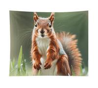 HETVBNS Cute Squirrels Tapestry Wall Hanging - 50"x60" Aesthetic Tapestries Soft Polyester Wall Art Decor Large Tapestry for Bedroom Living Room Dorm Backdrop, Hanging Kit Included